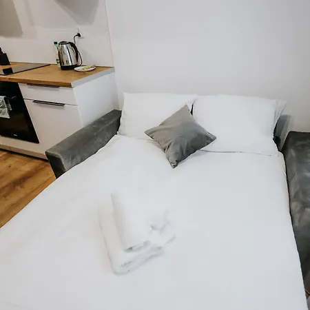 Lublanska Cosy Studio #2a
